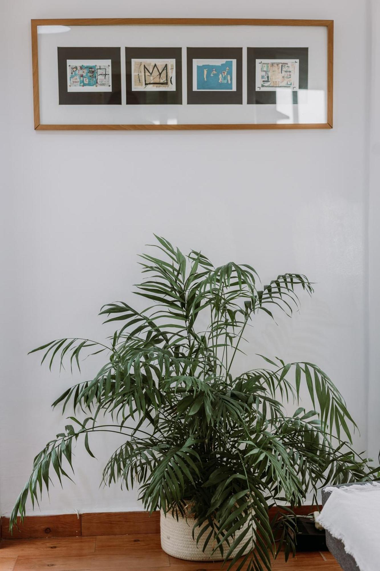 Spacious Central Apartment Sevilha Exterior foto